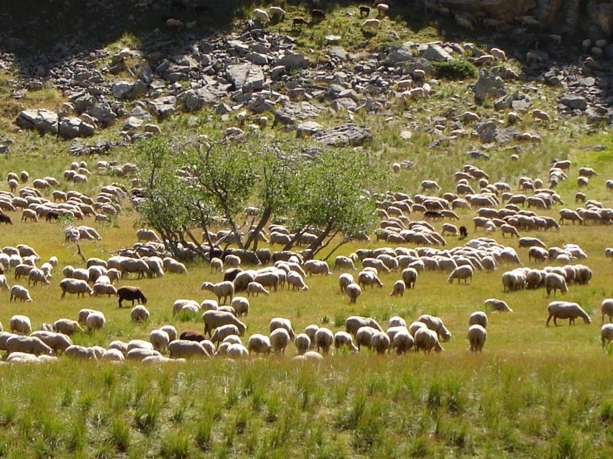 La Petite Etoile D'Hotes En Mercantour Saint-Dalmas-le-Selvage ภายนอก รูปภาพ
