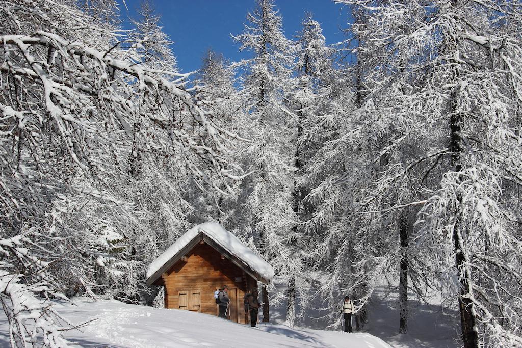 La Petite Etoile D'Hotes En Mercantour Saint-Dalmas-le-Selvage ภายนอก รูปภาพ
