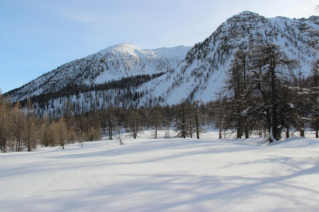 La Petite Etoile D'Hotes En Mercantour Saint-Dalmas-le-Selvage ภายนอก รูปภาพ