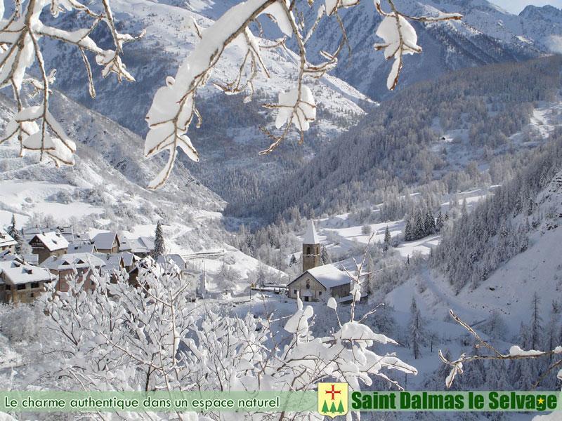 La Petite Etoile D'Hotes En Mercantour Saint-Dalmas-le-Selvage ภายนอก รูปภาพ
